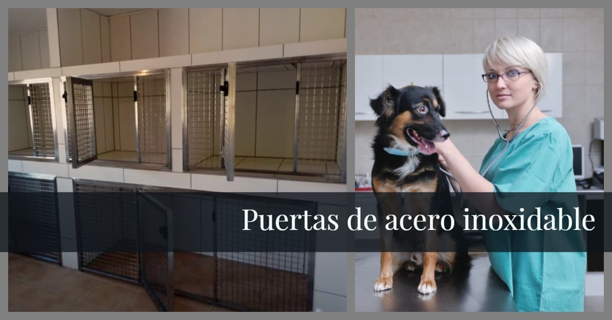 stainless steel doors for veterinary clinics in tenerife 1